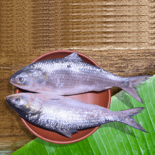 Hilsa