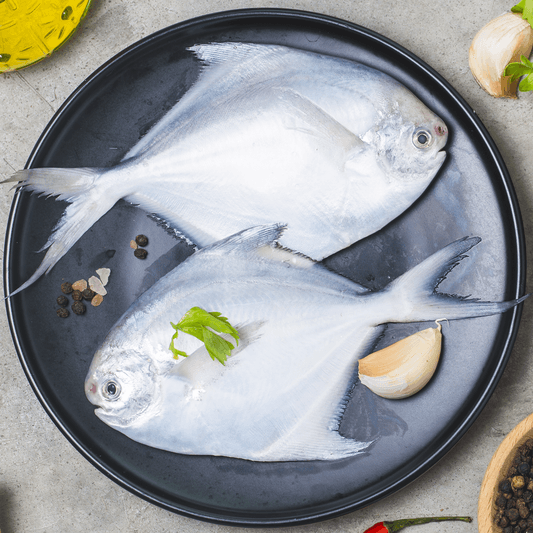 Fresh White Pomfret